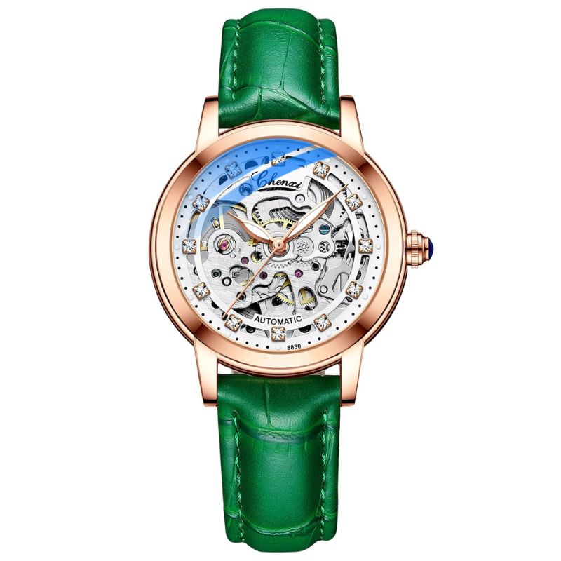 Montre Squelette Femme Automatique Étanche Cuir Véritable